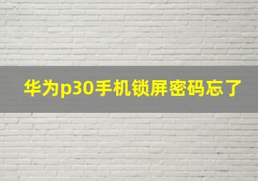 华为p30手机锁屏密码忘了