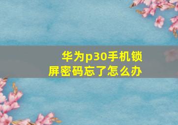 华为p30手机锁屏密码忘了怎么办