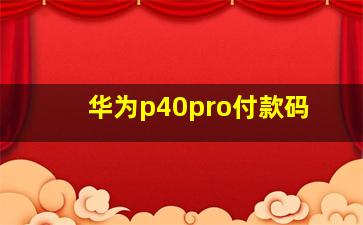 华为p40pro付款码