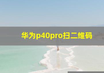 华为p40pro扫二维码