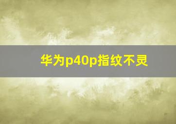 华为p40p指纹不灵