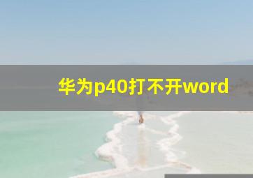 华为p40打不开word