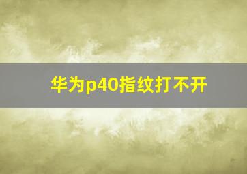 华为p40指纹打不开