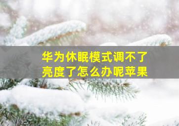 华为休眠模式调不了亮度了怎么办呢苹果