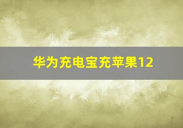 华为充电宝充苹果12