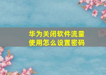 华为关闭软件流量使用怎么设置密码