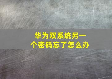 华为双系统另一个密码忘了怎么办