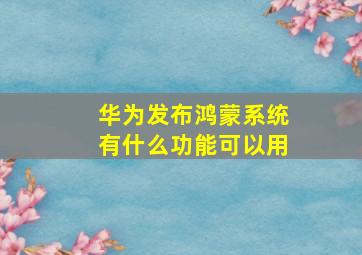 华为发布鸿蒙系统有什么功能可以用