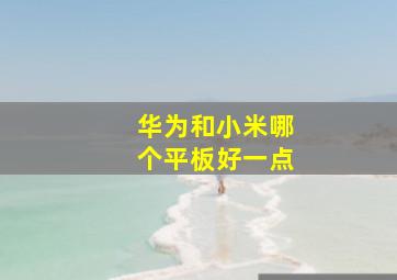 华为和小米哪个平板好一点