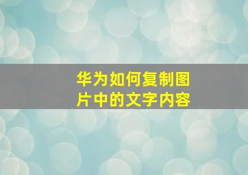 华为如何复制图片中的文字内容