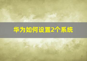 华为如何设置2个系统