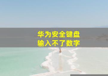 华为安全键盘输入不了数字