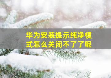 华为安装提示纯净模式怎么关闭不了了呢