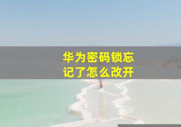 华为密码锁忘记了怎么改开