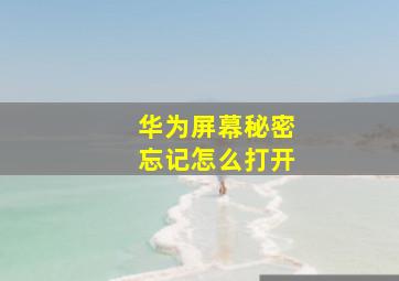 华为屏幕秘密忘记怎么打开