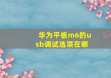 华为平板m6的usb调试选项在哪