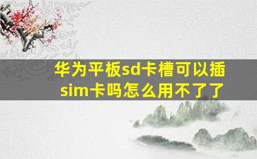 华为平板sd卡槽可以插sim卡吗怎么用不了了