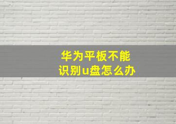 华为平板不能识别u盘怎么办