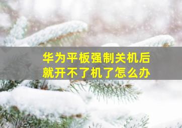 华为平板强制关机后就开不了机了怎么办