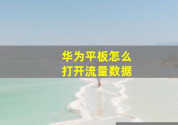 华为平板怎么打开流量数据