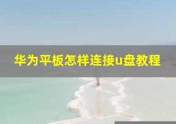 华为平板怎样连接u盘教程