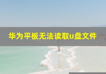 华为平板无法读取u盘文件