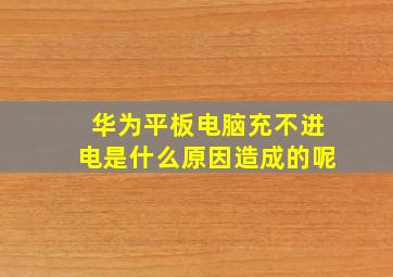 华为平板电脑充不进电是什么原因造成的呢