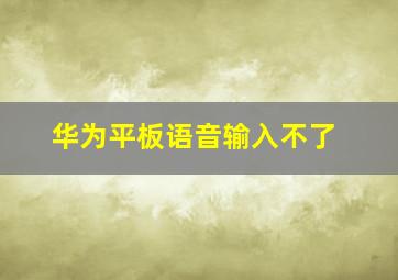 华为平板语音输入不了