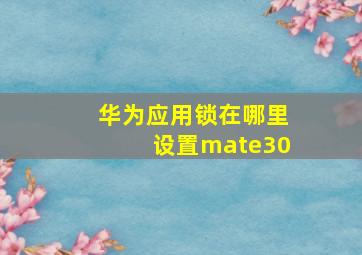 华为应用锁在哪里设置mate30