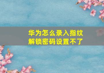 华为怎么录入指纹解锁密码设置不了