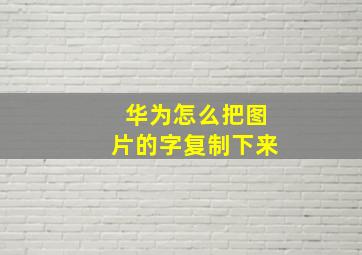 华为怎么把图片的字复制下来