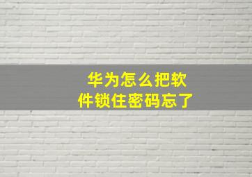 华为怎么把软件锁住密码忘了