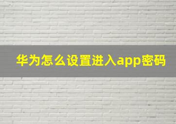 华为怎么设置进入app密码