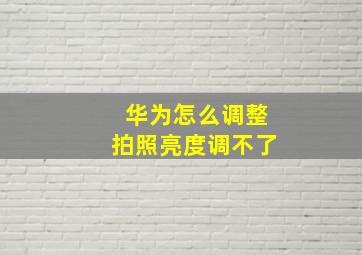 华为怎么调整拍照亮度调不了