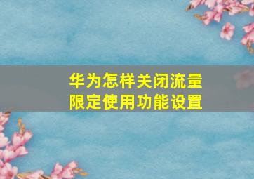 华为怎样关闭流量限定使用功能设置