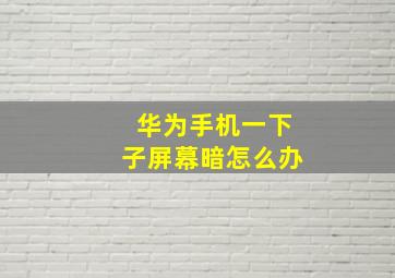 华为手机一下子屏幕暗怎么办