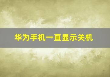 华为手机一直显示关机