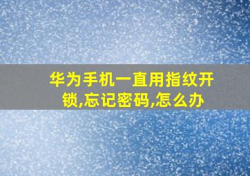 华为手机一直用指纹开锁,忘记密码,怎么办