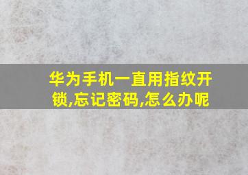 华为手机一直用指纹开锁,忘记密码,怎么办呢