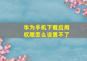 华为手机下载应用权限怎么设置不了