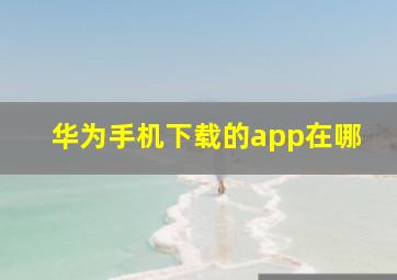 华为手机下载的app在哪