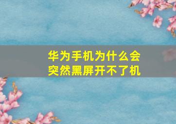 华为手机为什么会突然黑屏开不了机