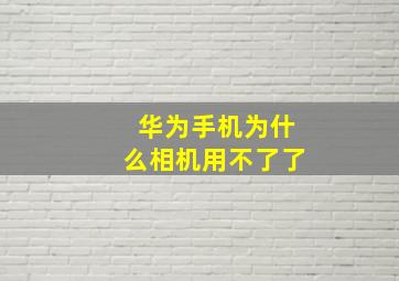 华为手机为什么相机用不了了