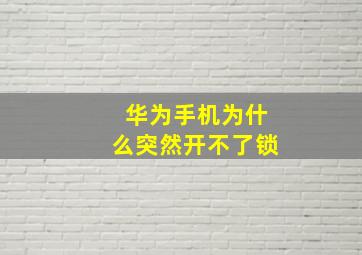 华为手机为什么突然开不了锁