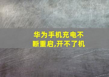 华为手机充电不断重启,开不了机