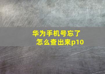 华为手机号忘了怎么查出来p10