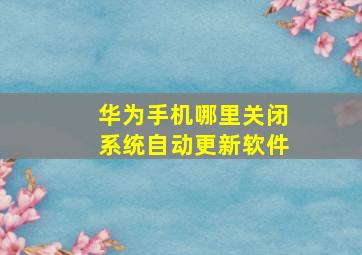 华为手机哪里关闭系统自动更新软件