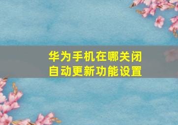 华为手机在哪关闭自动更新功能设置