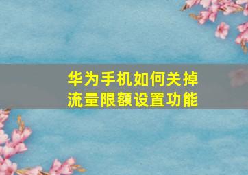 华为手机如何关掉流量限额设置功能