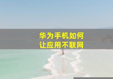 华为手机如何让应用不联网